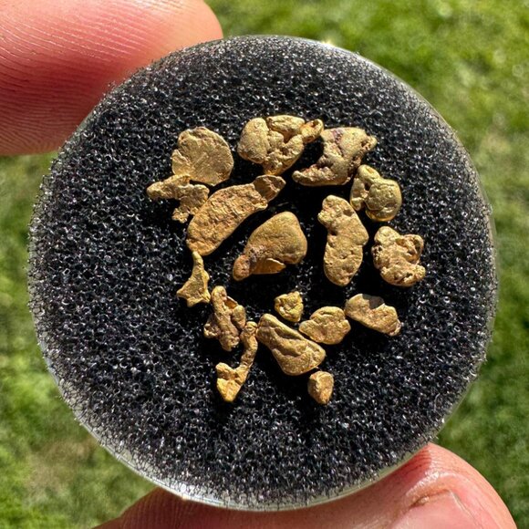 California Gold Nuggets in Display Case - 1.90 grams - Picture 2 of 7